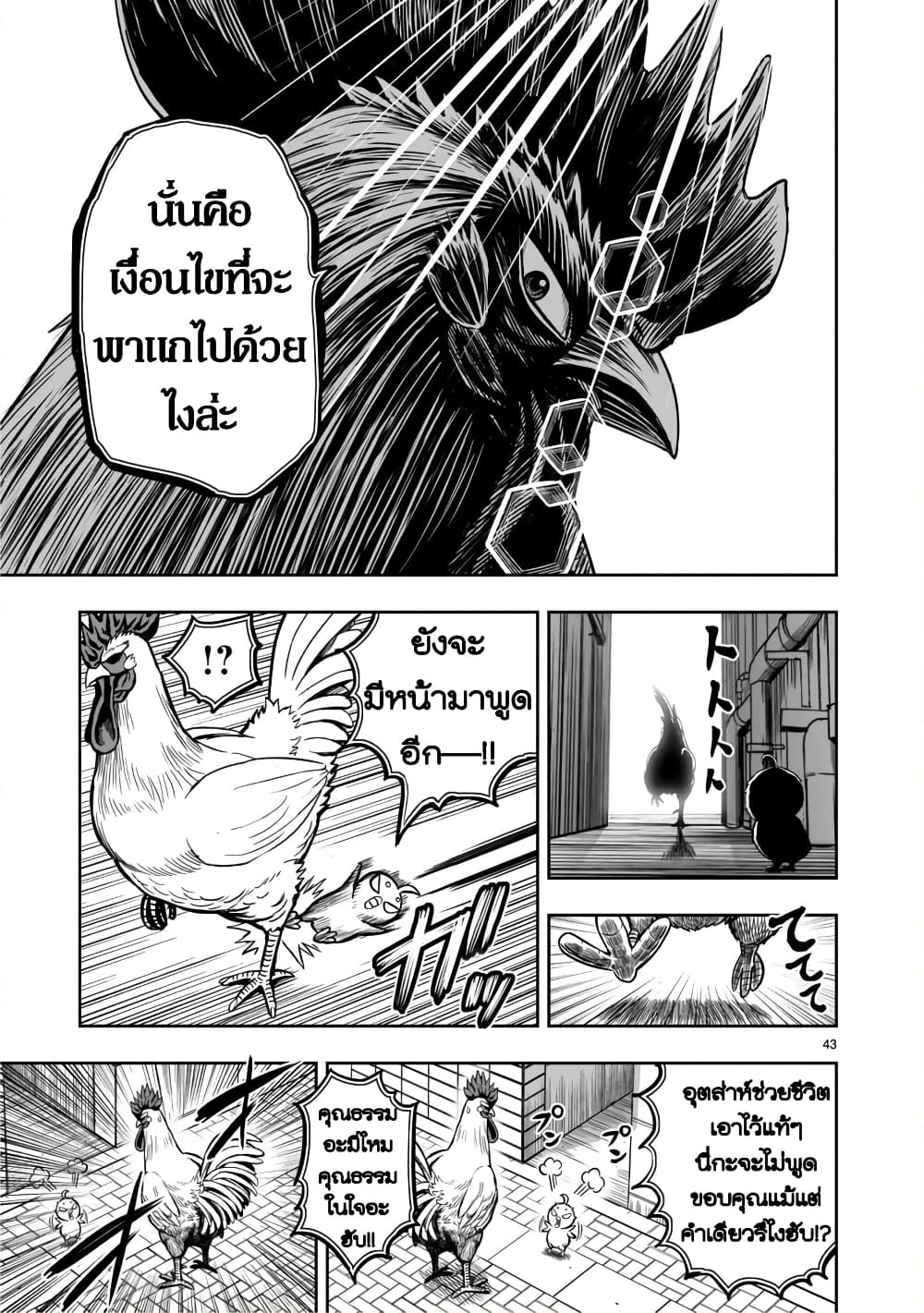 Rooster Fighter page 43