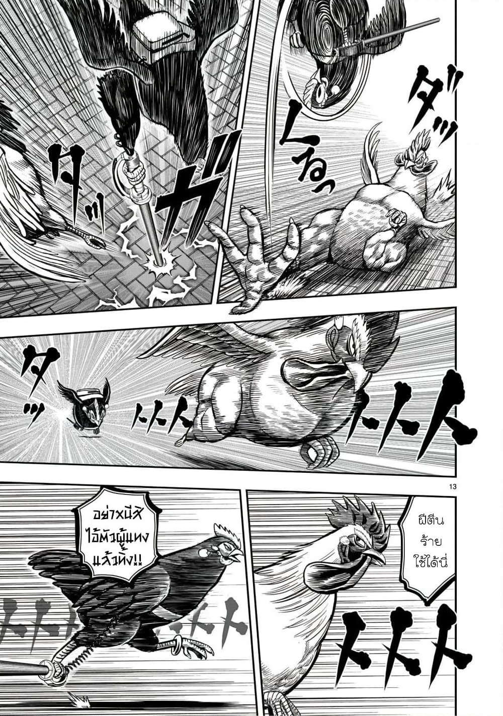 Rooster Fighter page 15