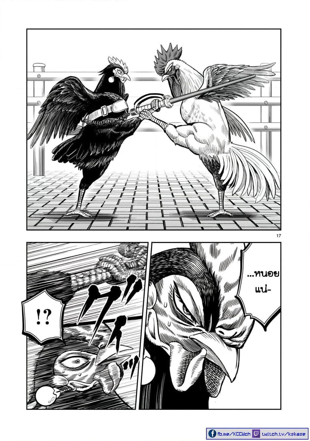 Rooster Fighter page 19