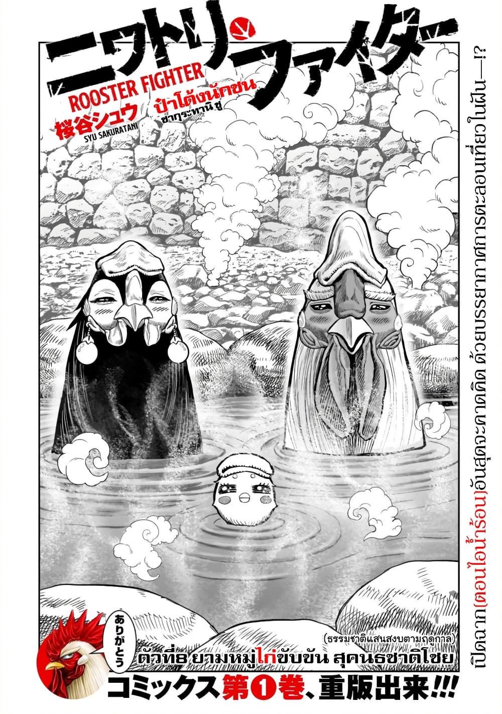 Rooster Fighter page 2