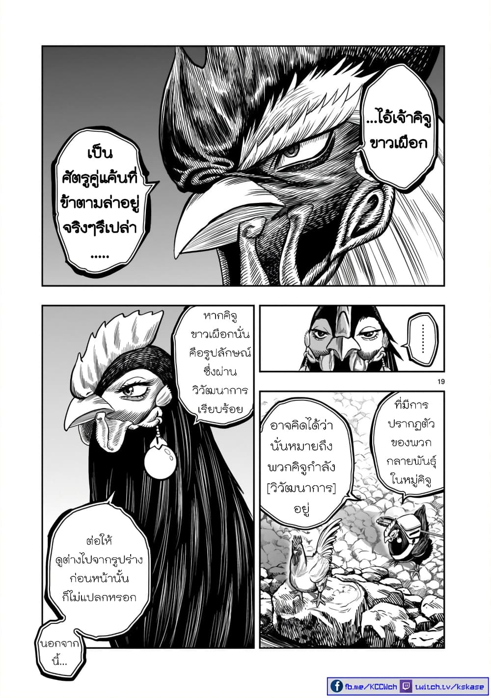 Rooster Fighter page 19