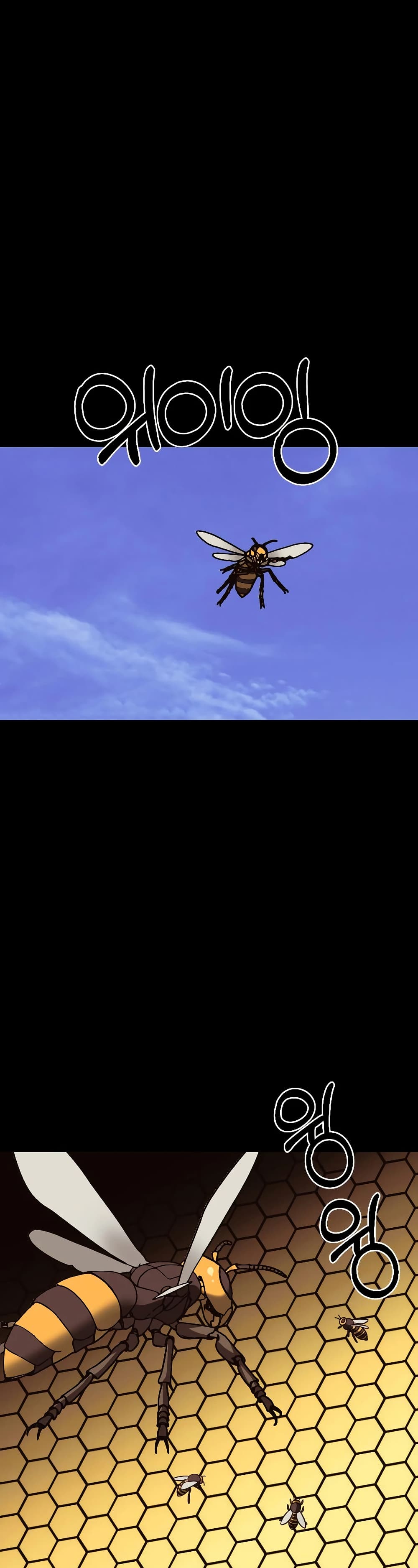 Round page 11