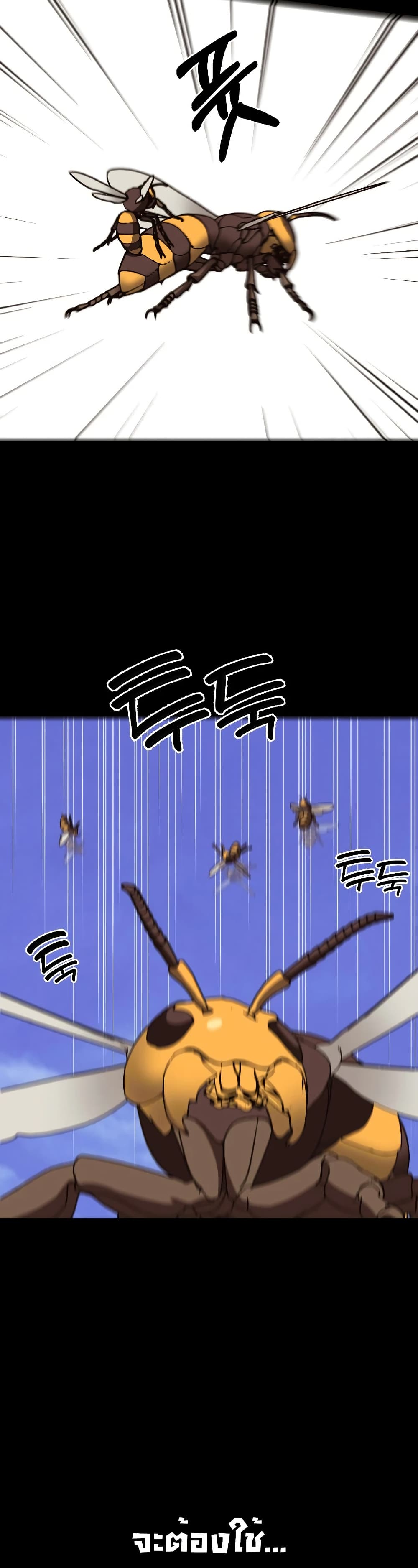 Round page 13