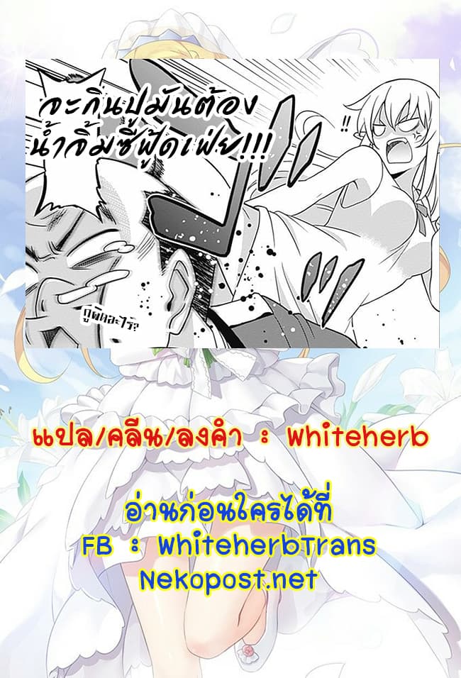 Saikyou no Shuzoku ga Ningen datta Ken เผ่ามนุษย์แกร่งสุดโลก page 18