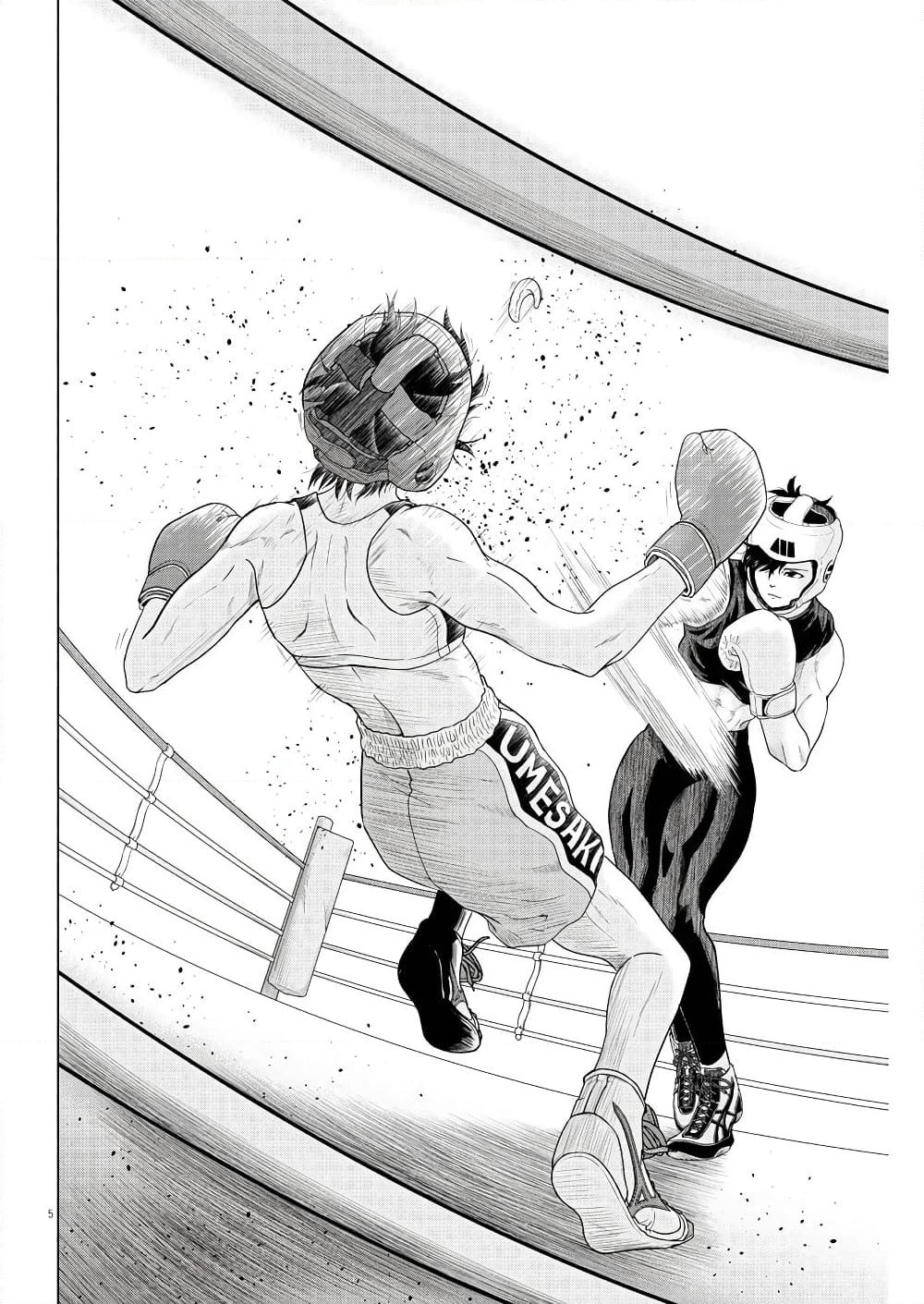 Saotome girl, Hitakakusu page 5