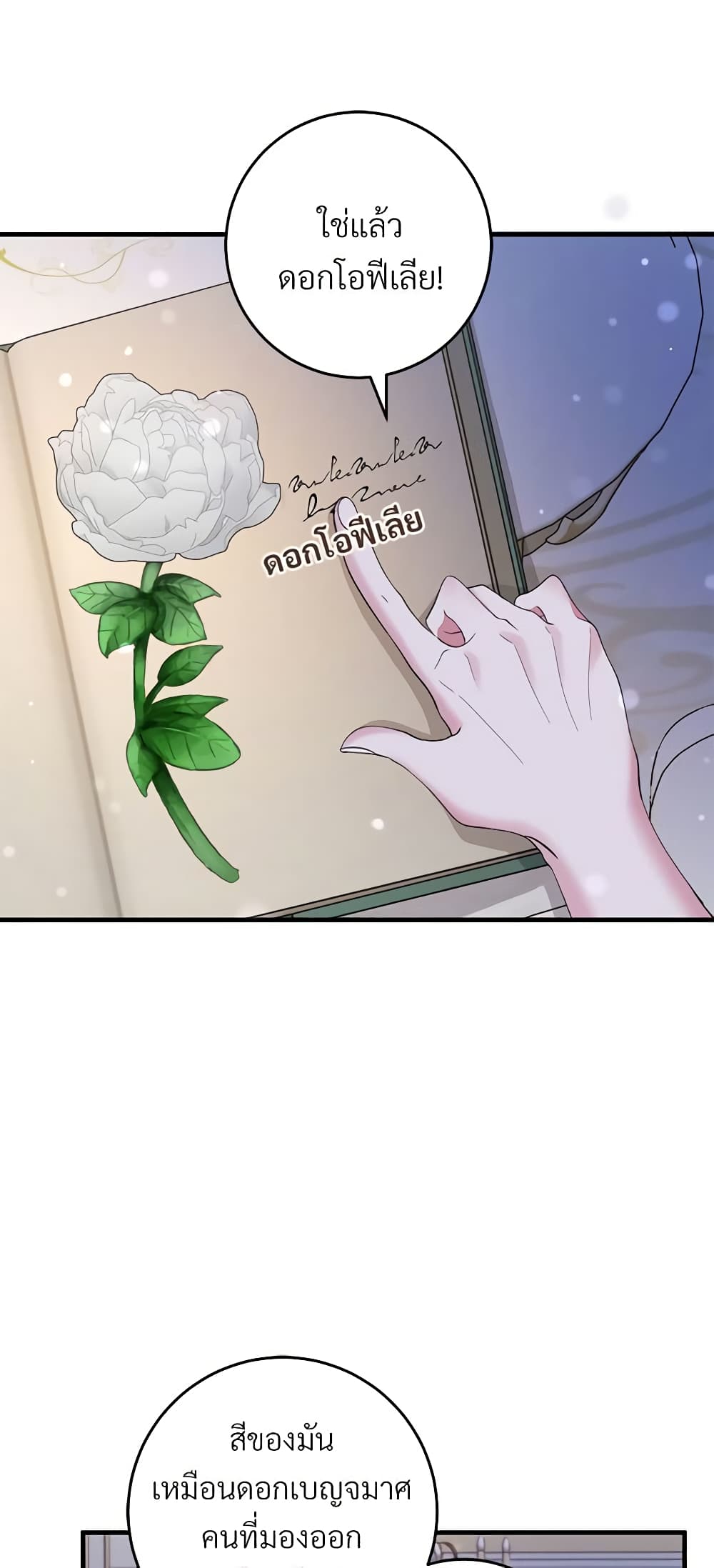 Savor the Taste page 46