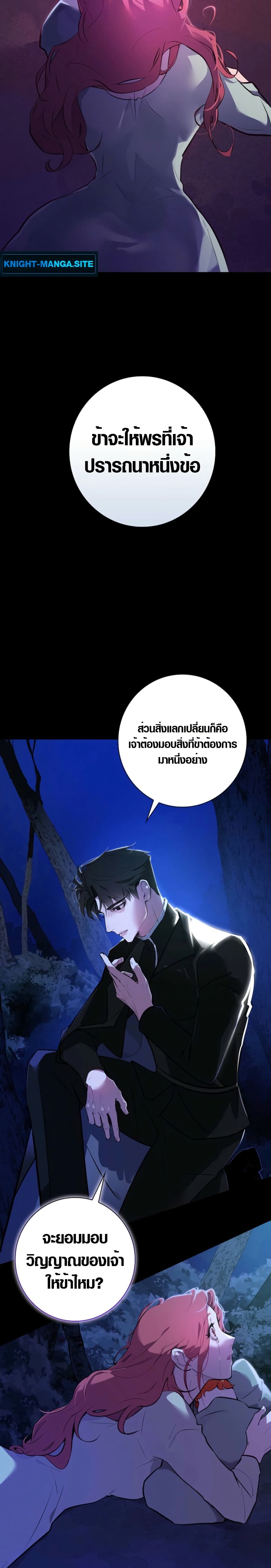 Seian page 20