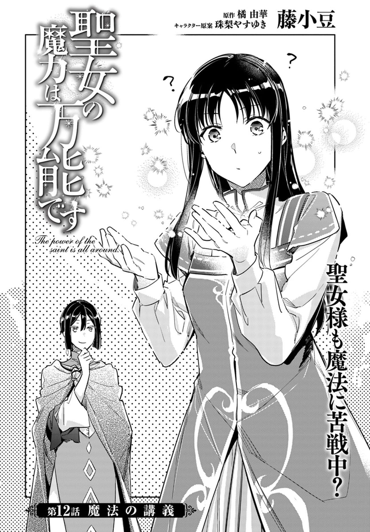 Seijo no Maryoku wa Bannou desu page 2