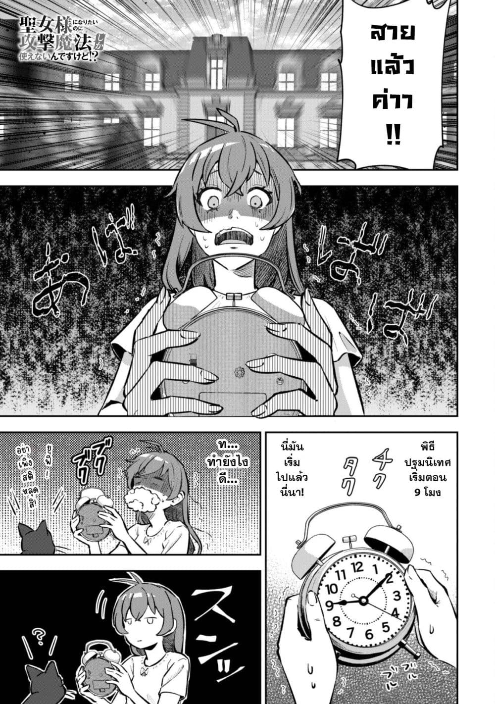 Seijo Sama Ni Naritainoni Kogeki Maho Shika Tsukaenai Ndesukedo!? page 2