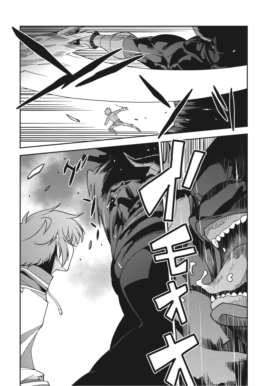 Seirei Gensouki - Konna Sekai de Deaeta Kimi ni (Minazuki Futago) page 17