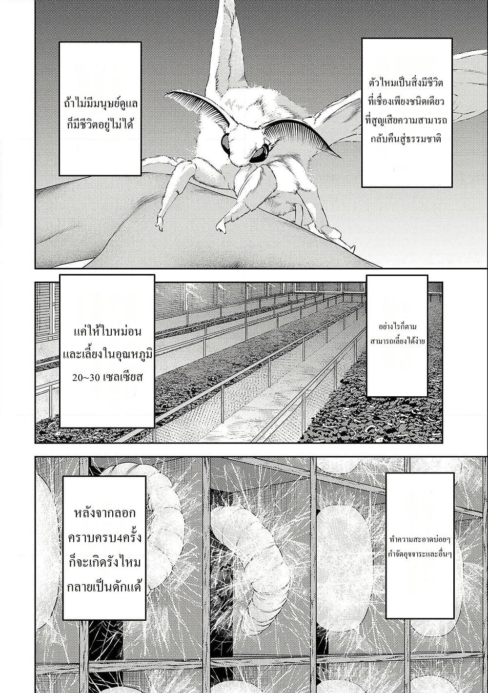 Sengoku Komachi Kuroutan: Noukou Giga page 4