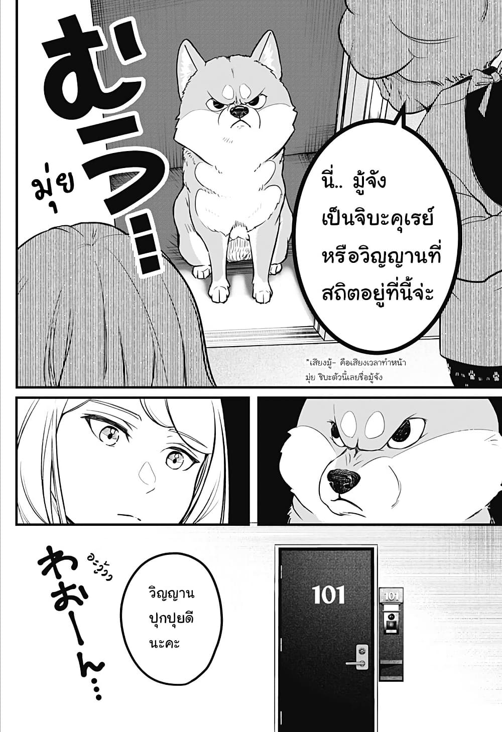 Shiba Inu Rooms page 5