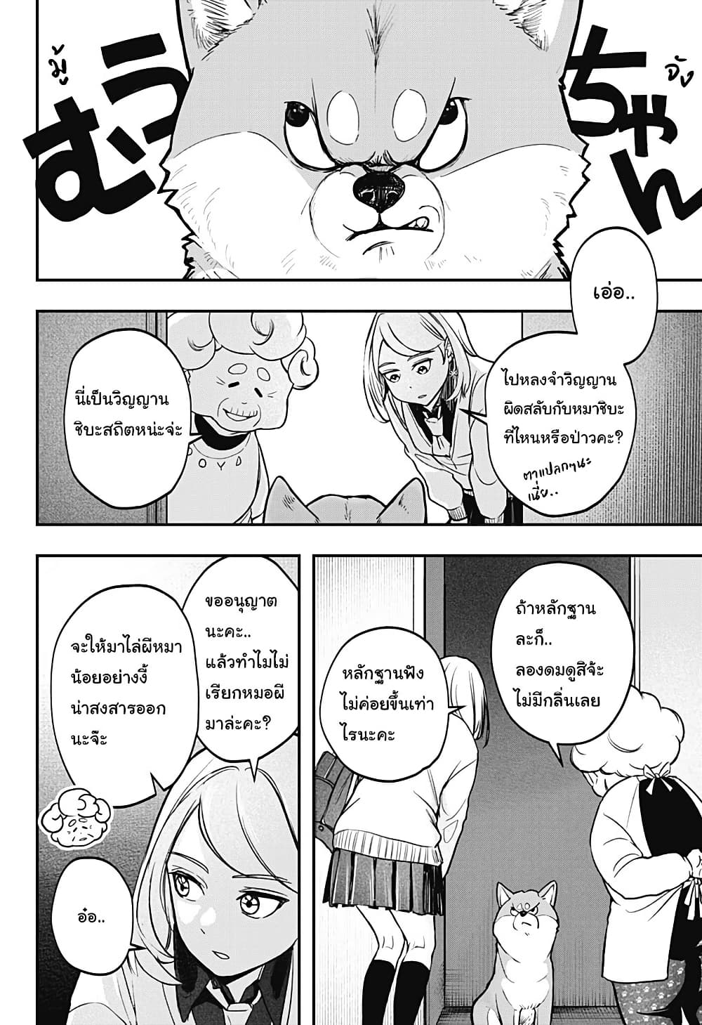 Shiba Inu Rooms page 7