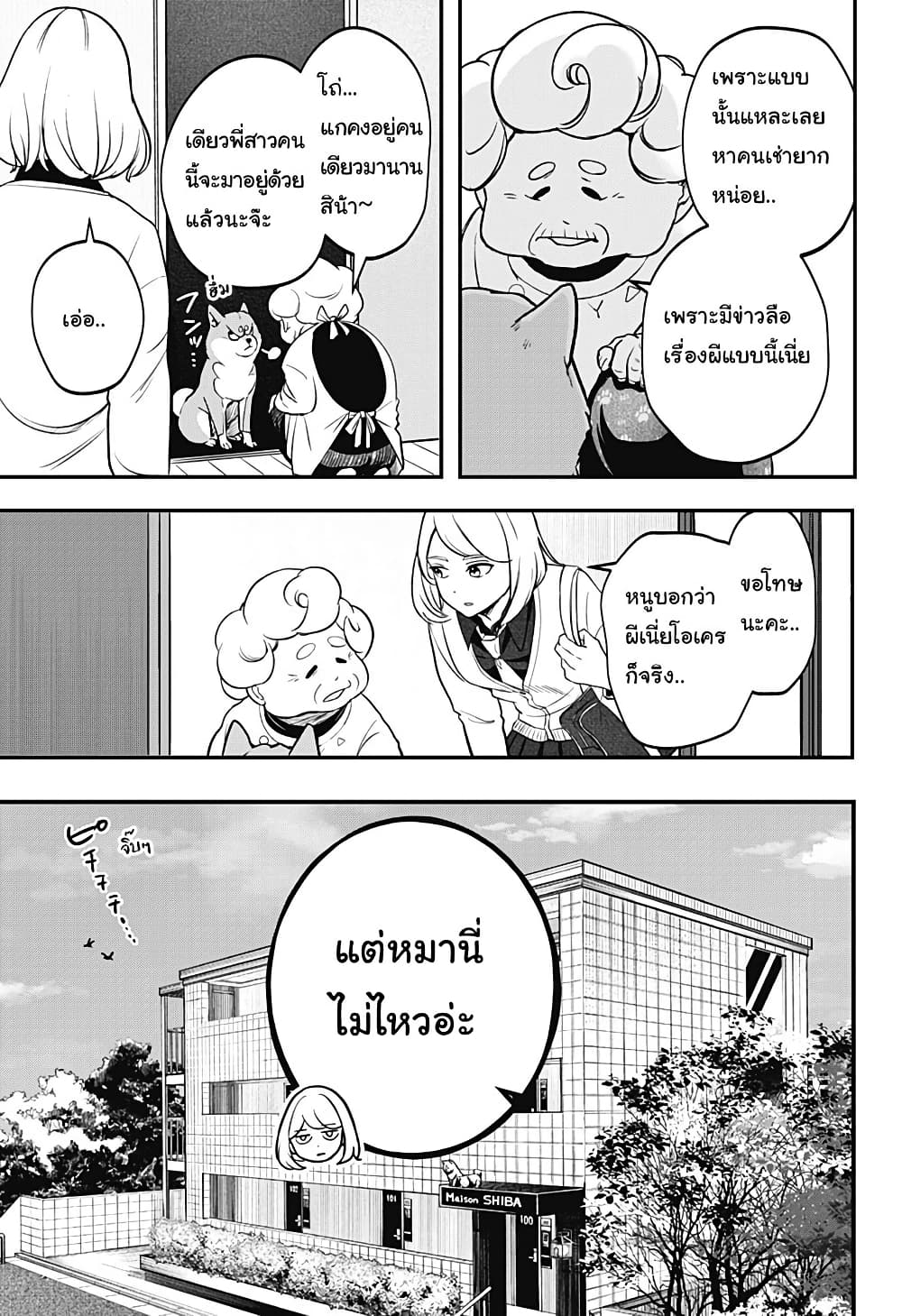 Shiba Inu Rooms page 8