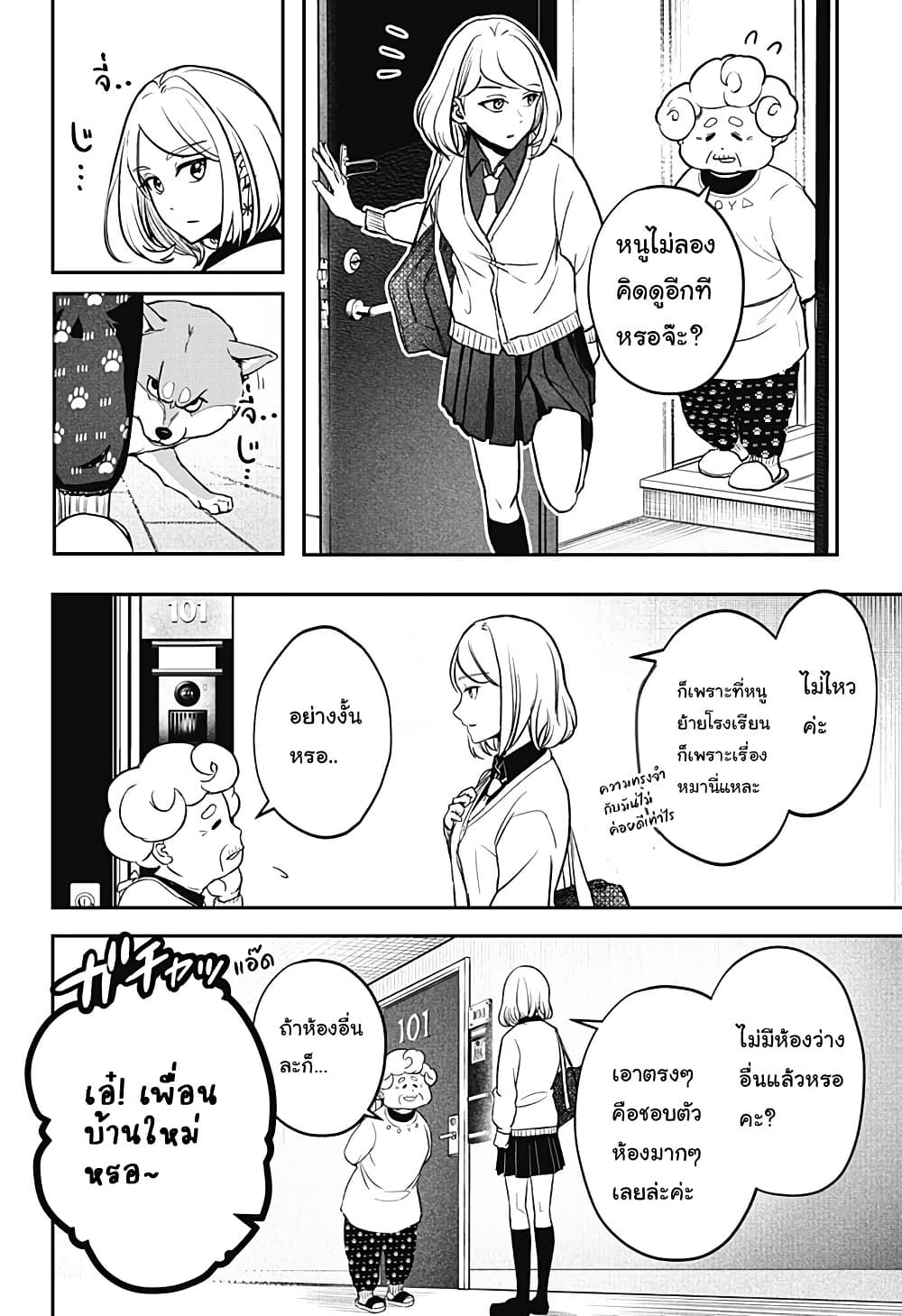 Shiba Inu Rooms page 9