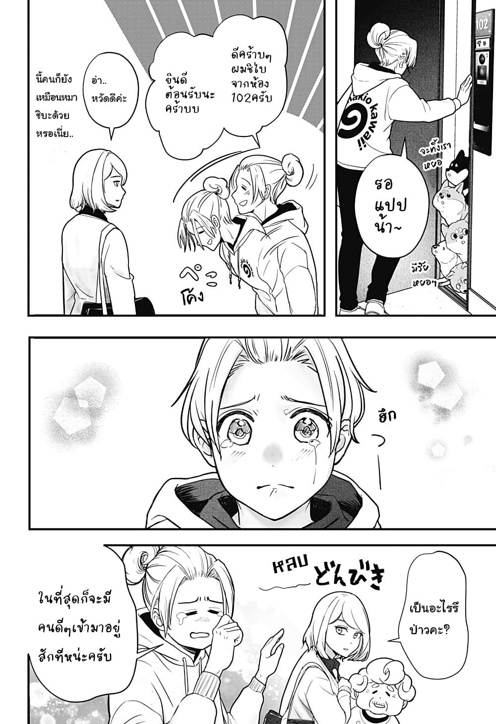 Shiba Inu Rooms page 11