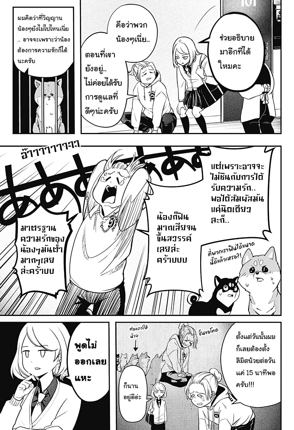 Shiba Inu Rooms page 14