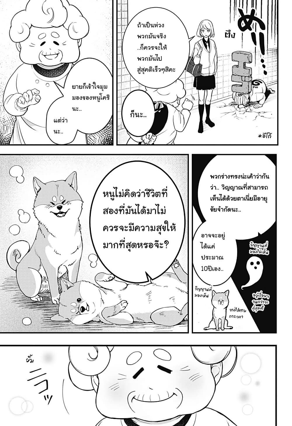 Shiba Inu Rooms page 16