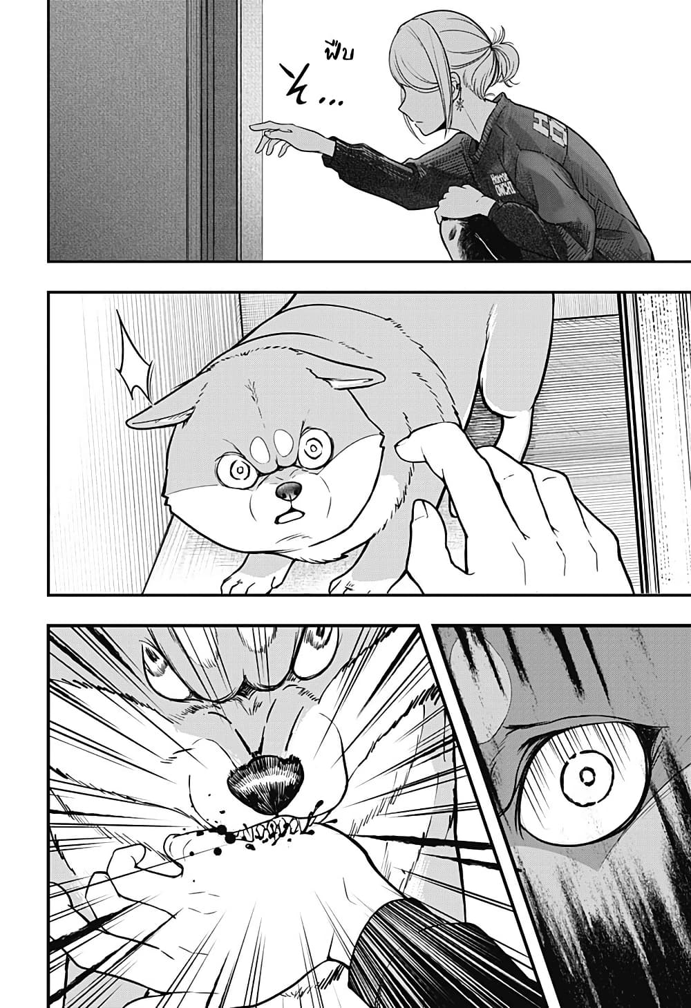 Shiba Inu Rooms page 21