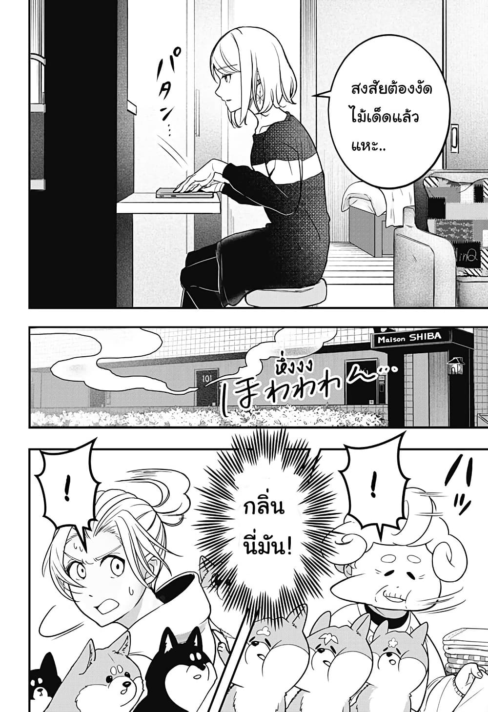 Shiba Inu Rooms page 37