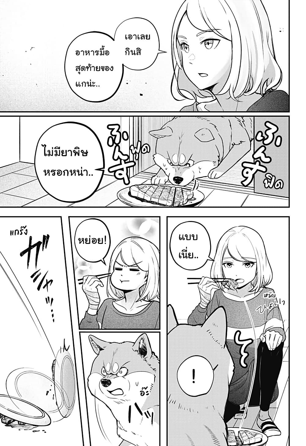 Shiba Inu Rooms page 40