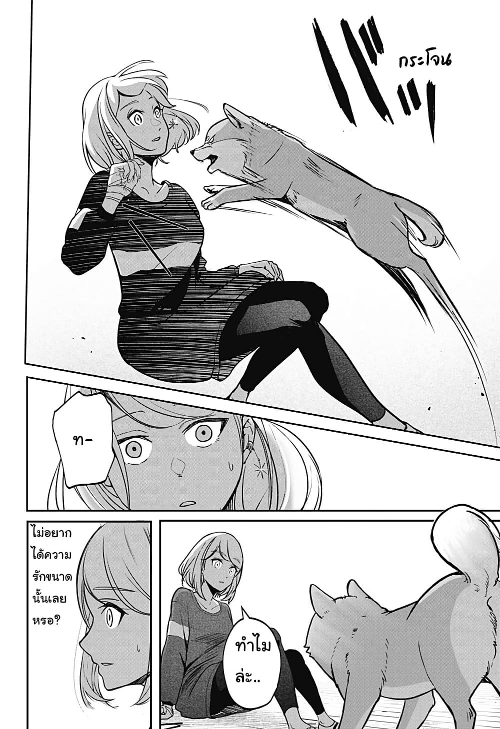 Shiba Inu Rooms page 41