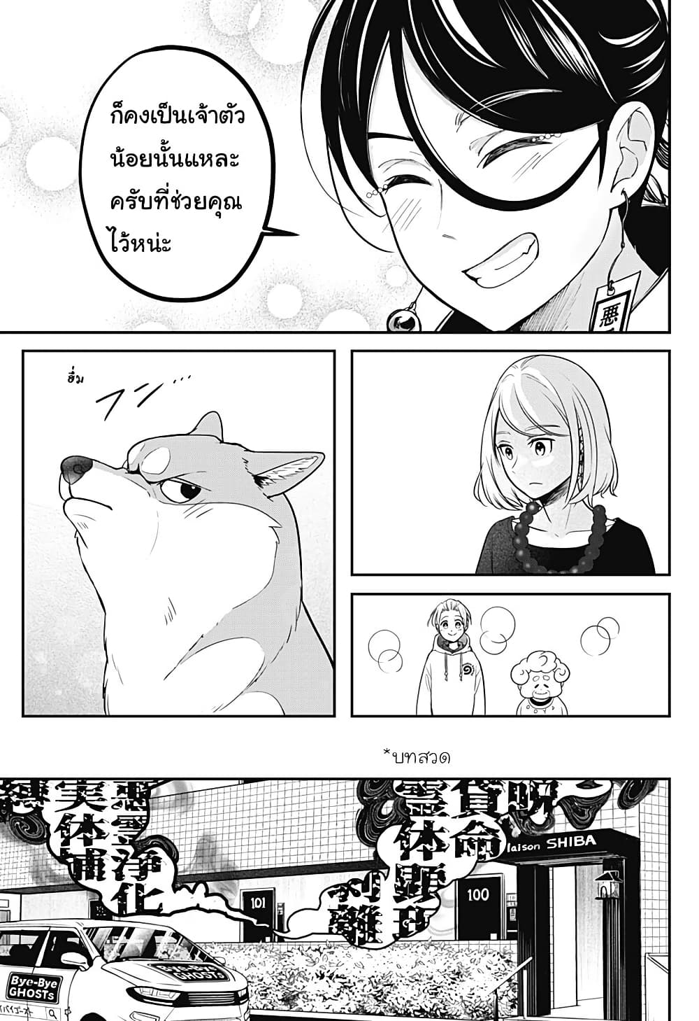 Shiba Inu Rooms page 50