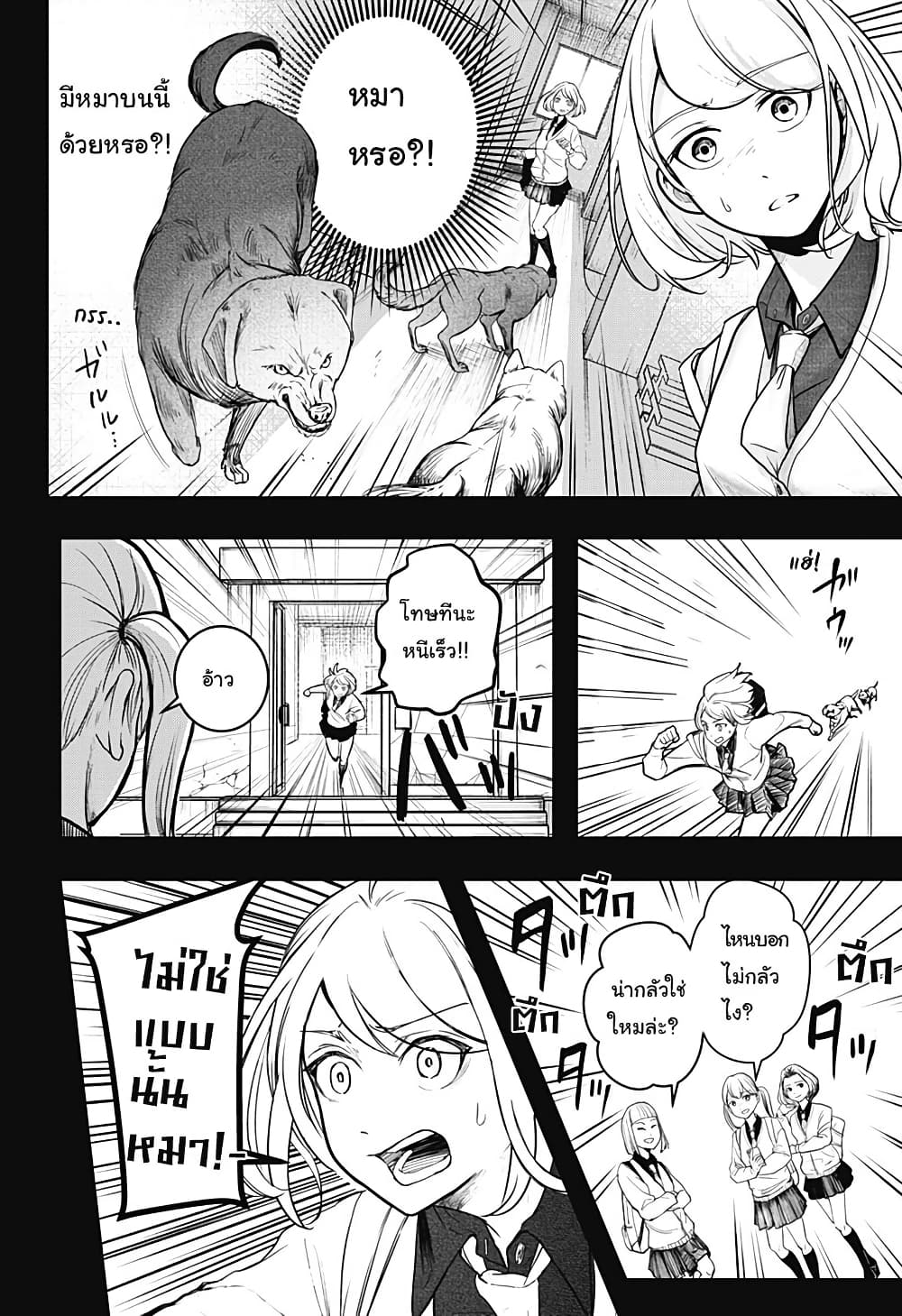 Shiba Inu Rooms page 55