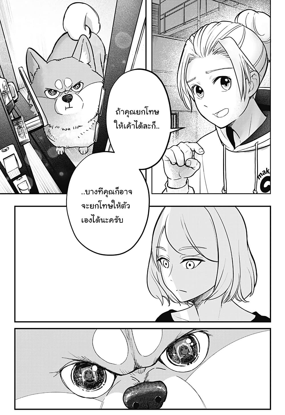 Shiba Inu Rooms page 60