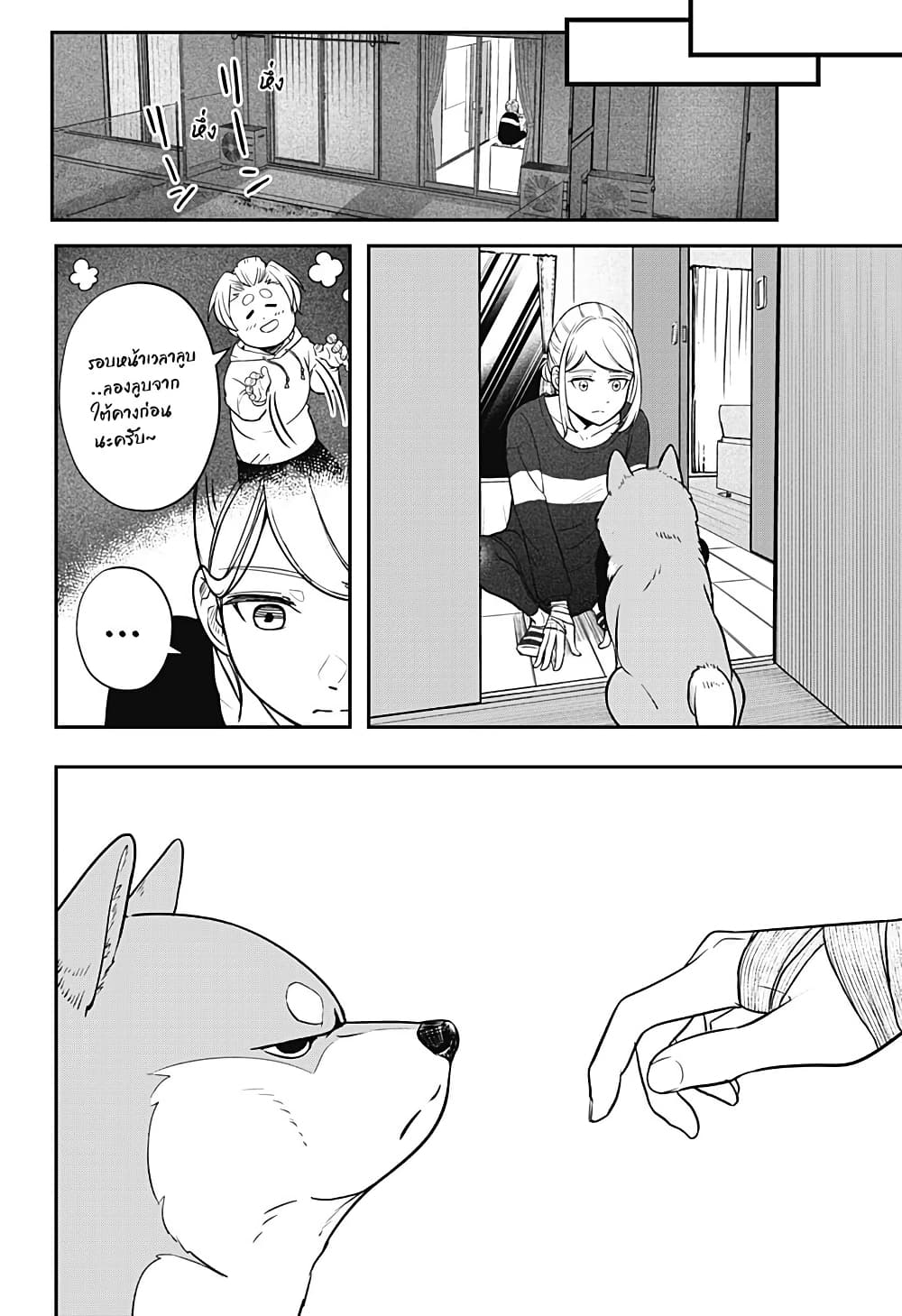 Shiba Inu Rooms page 61