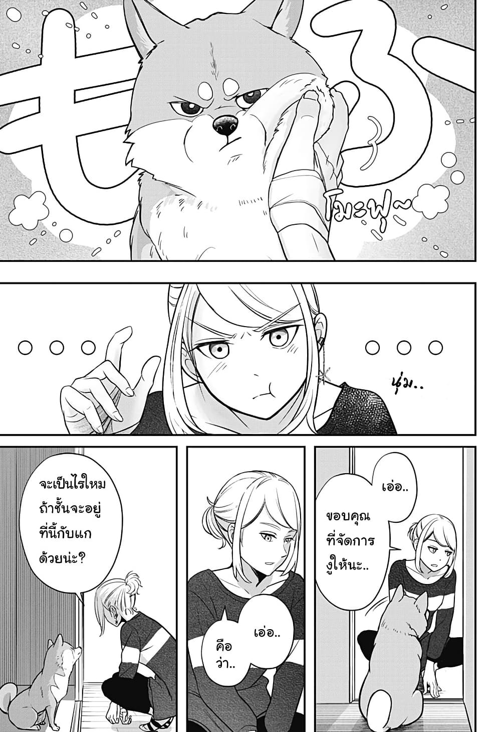 Shiba Inu Rooms page 62
