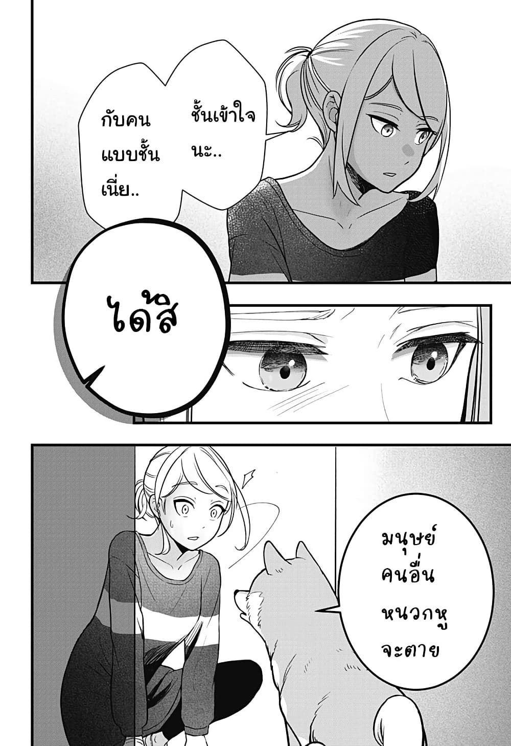 Shiba Inu Rooms page 63