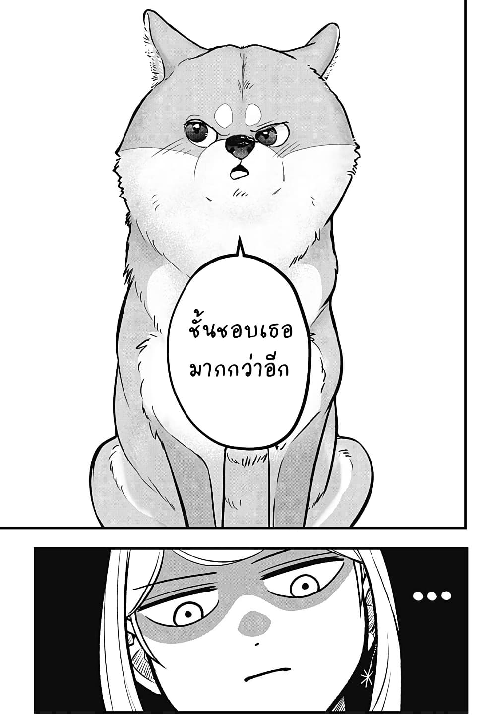 Shiba Inu Rooms page 64