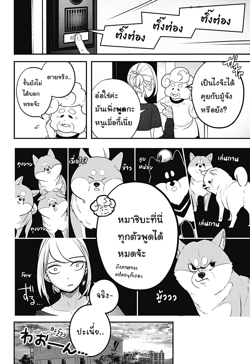 Shiba Inu Rooms page 65