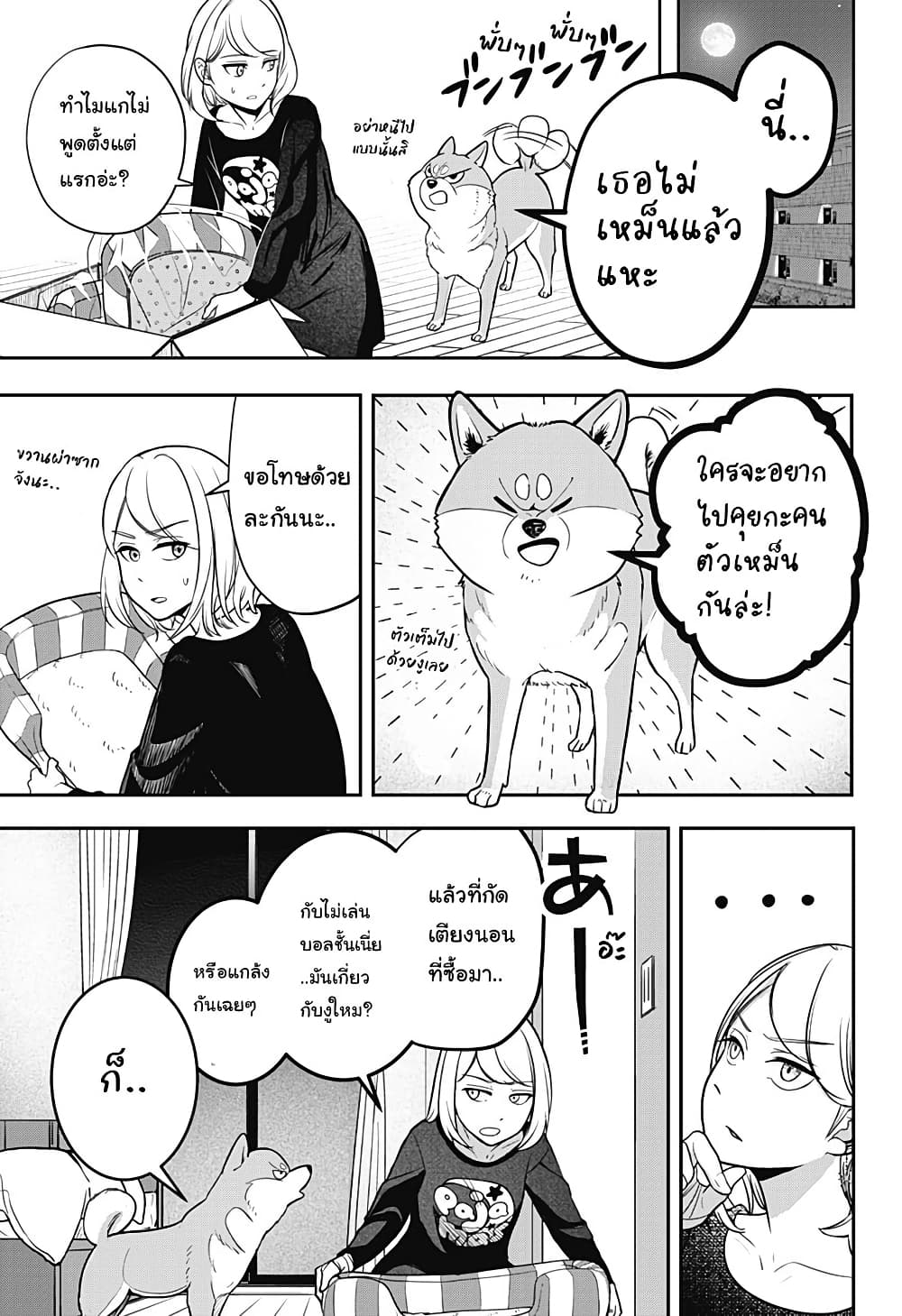 Shiba Inu Rooms page 66