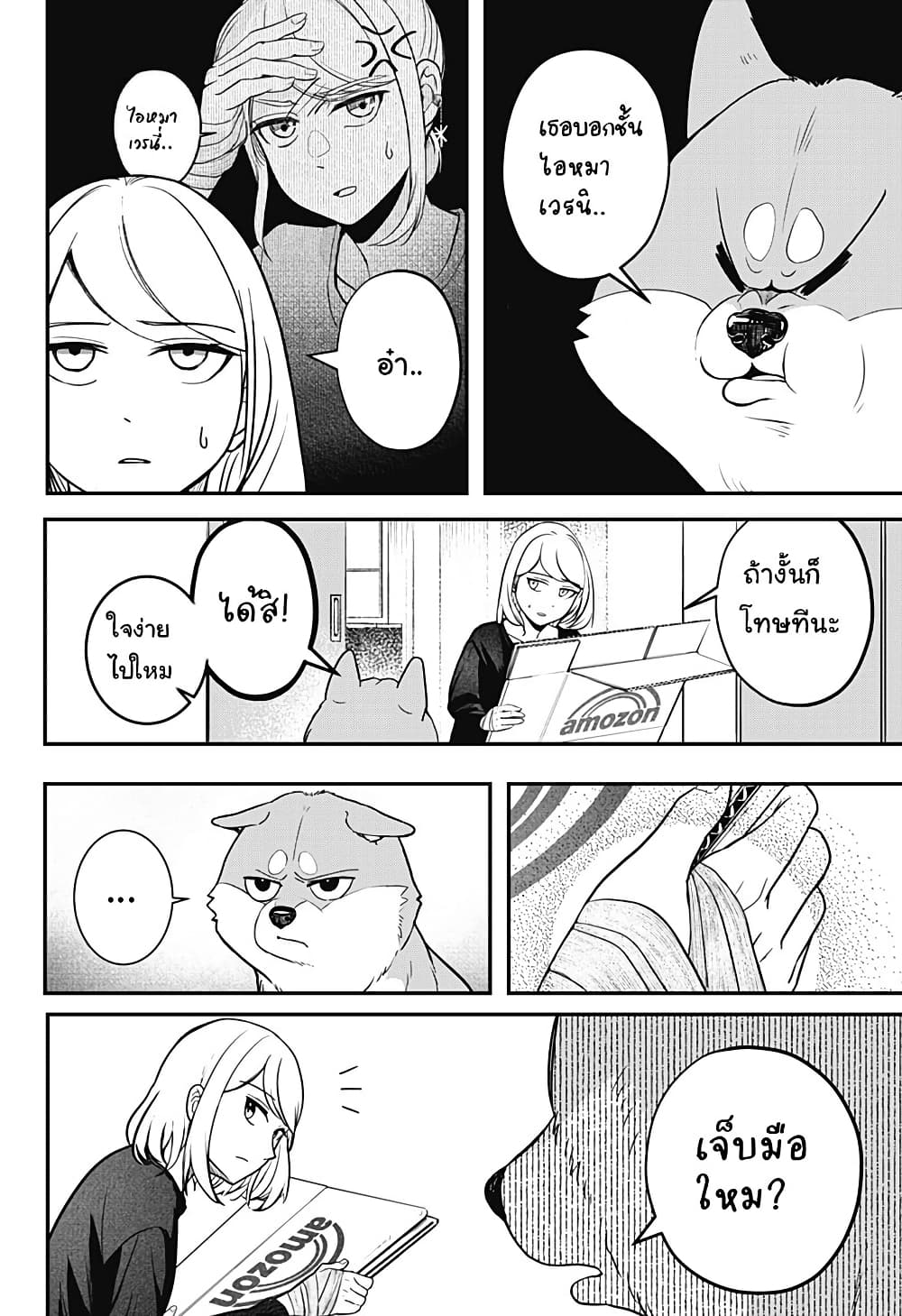 Shiba Inu Rooms page 67