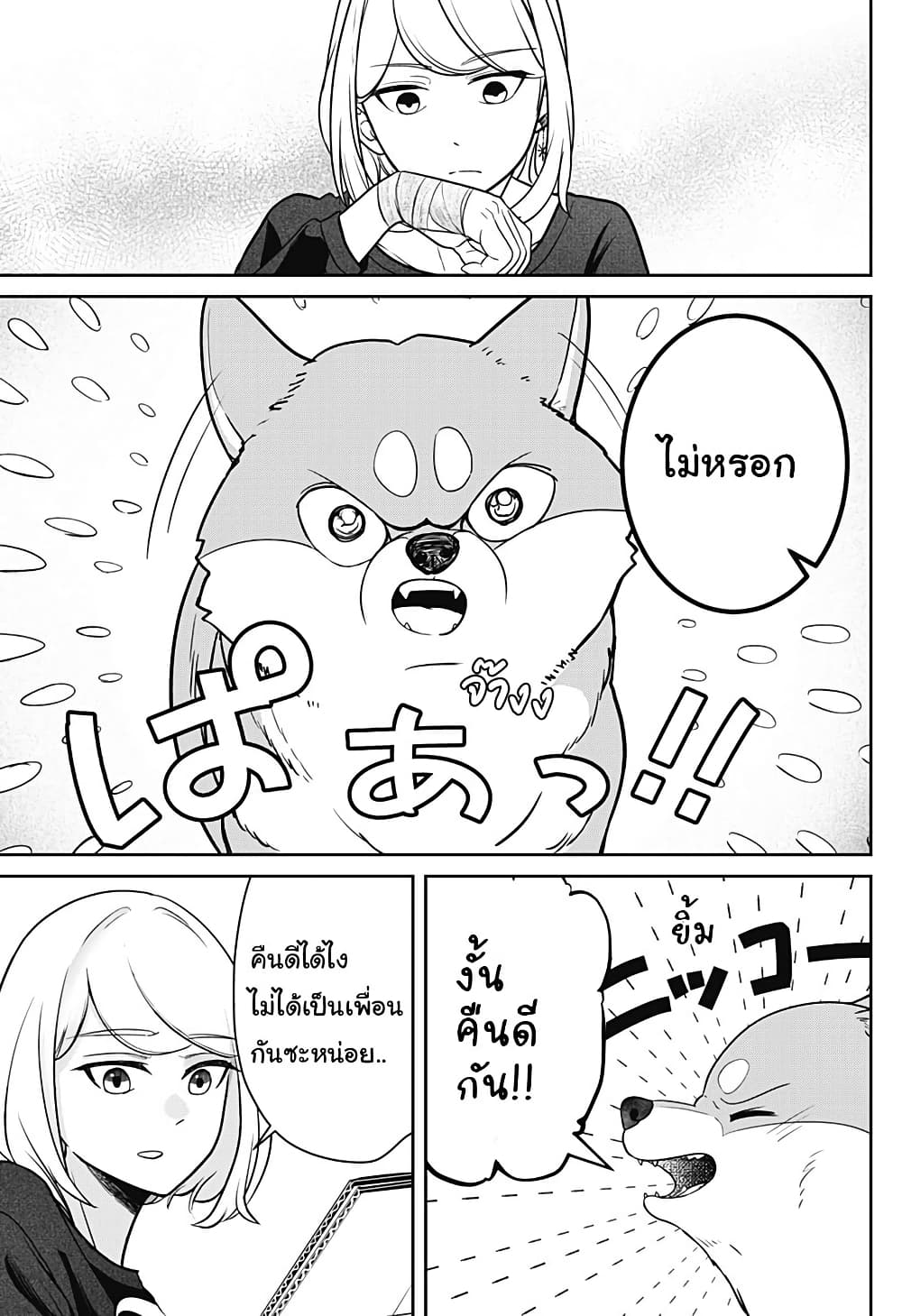 Shiba Inu Rooms page 68