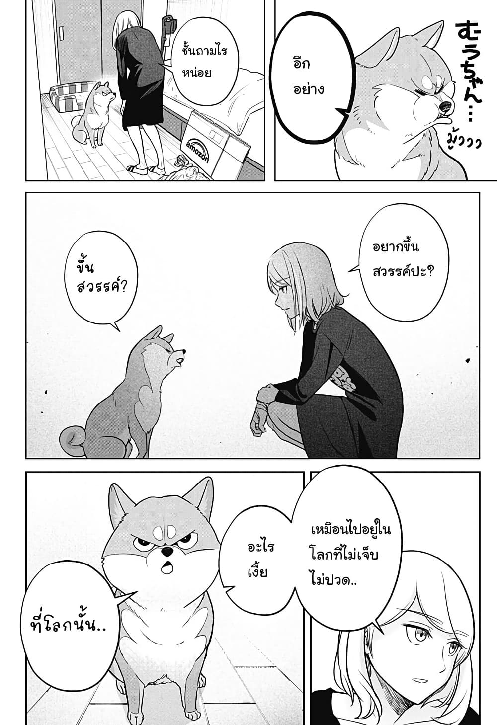 Shiba Inu Rooms page 69