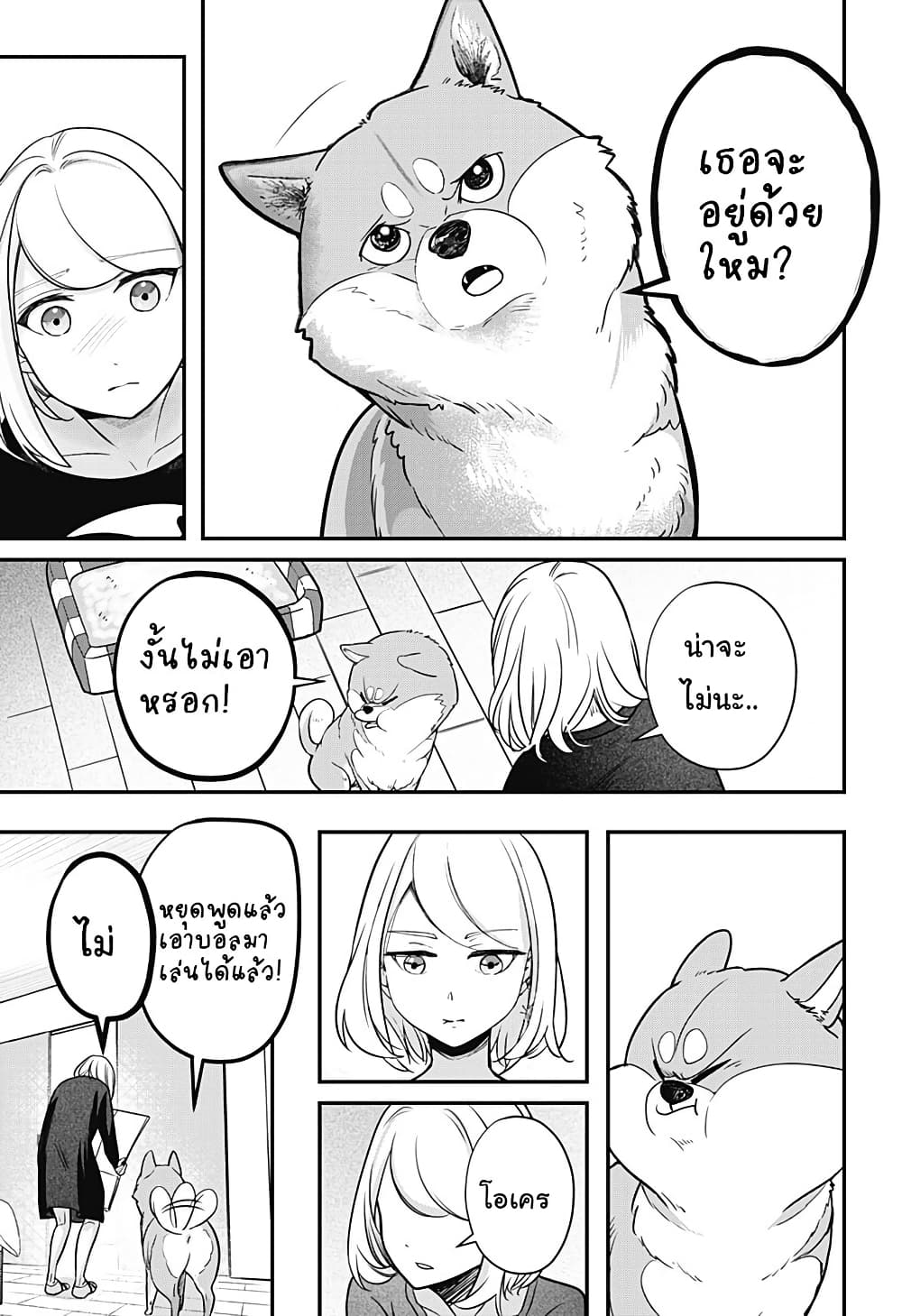 Shiba Inu Rooms page 70
