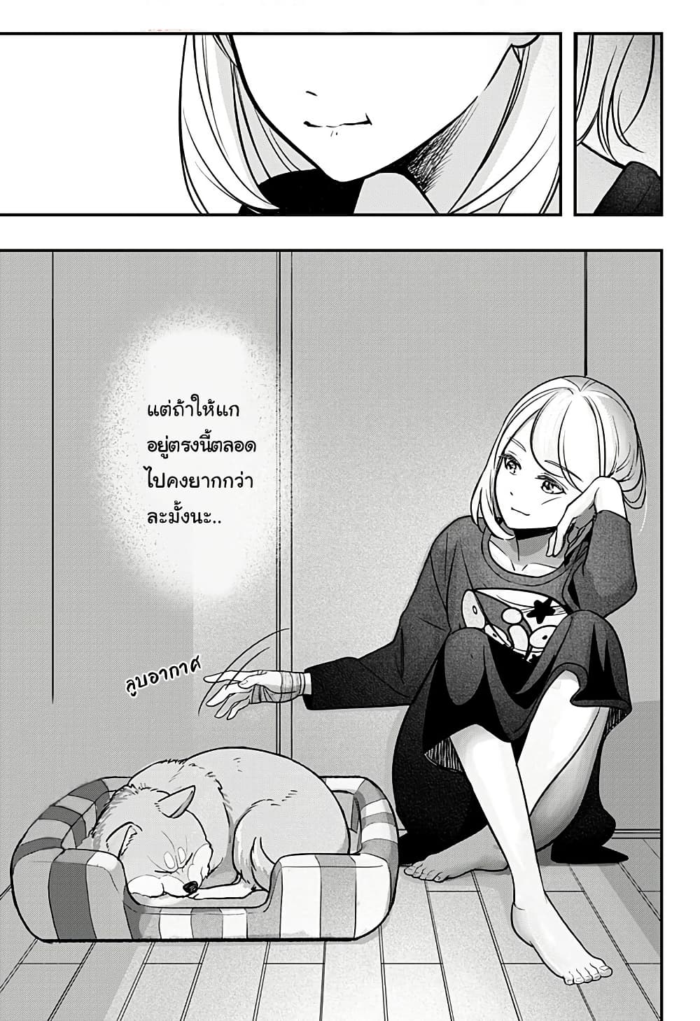 Shiba Inu Rooms page 74