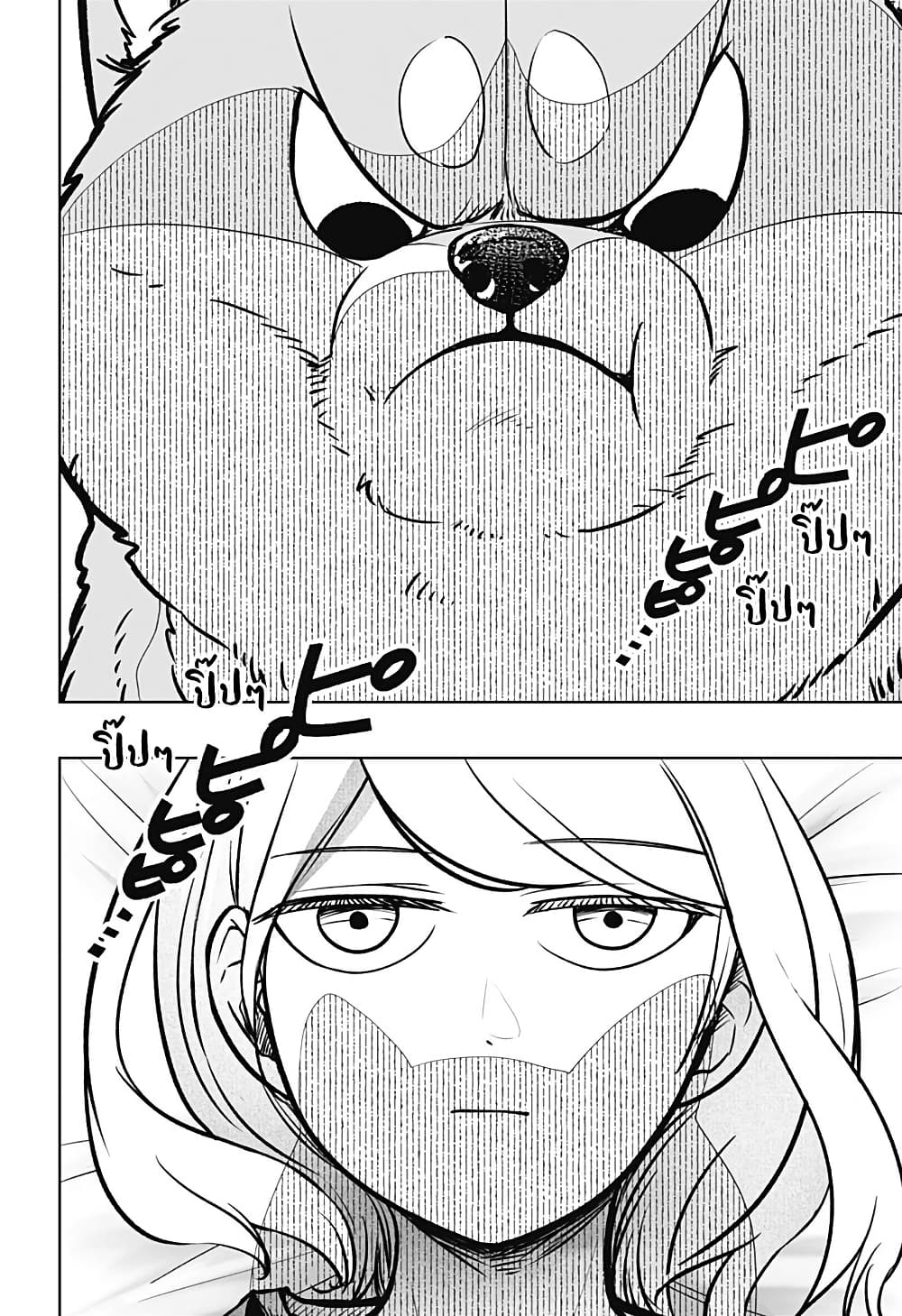 Shiba Inu Rooms page 4