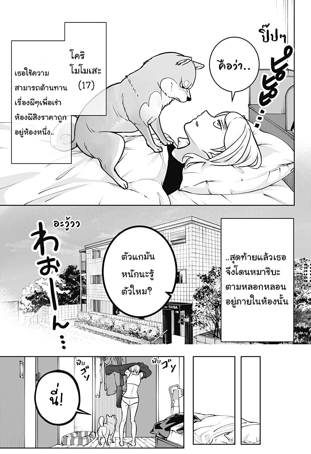 Shiba Inu Rooms page 5