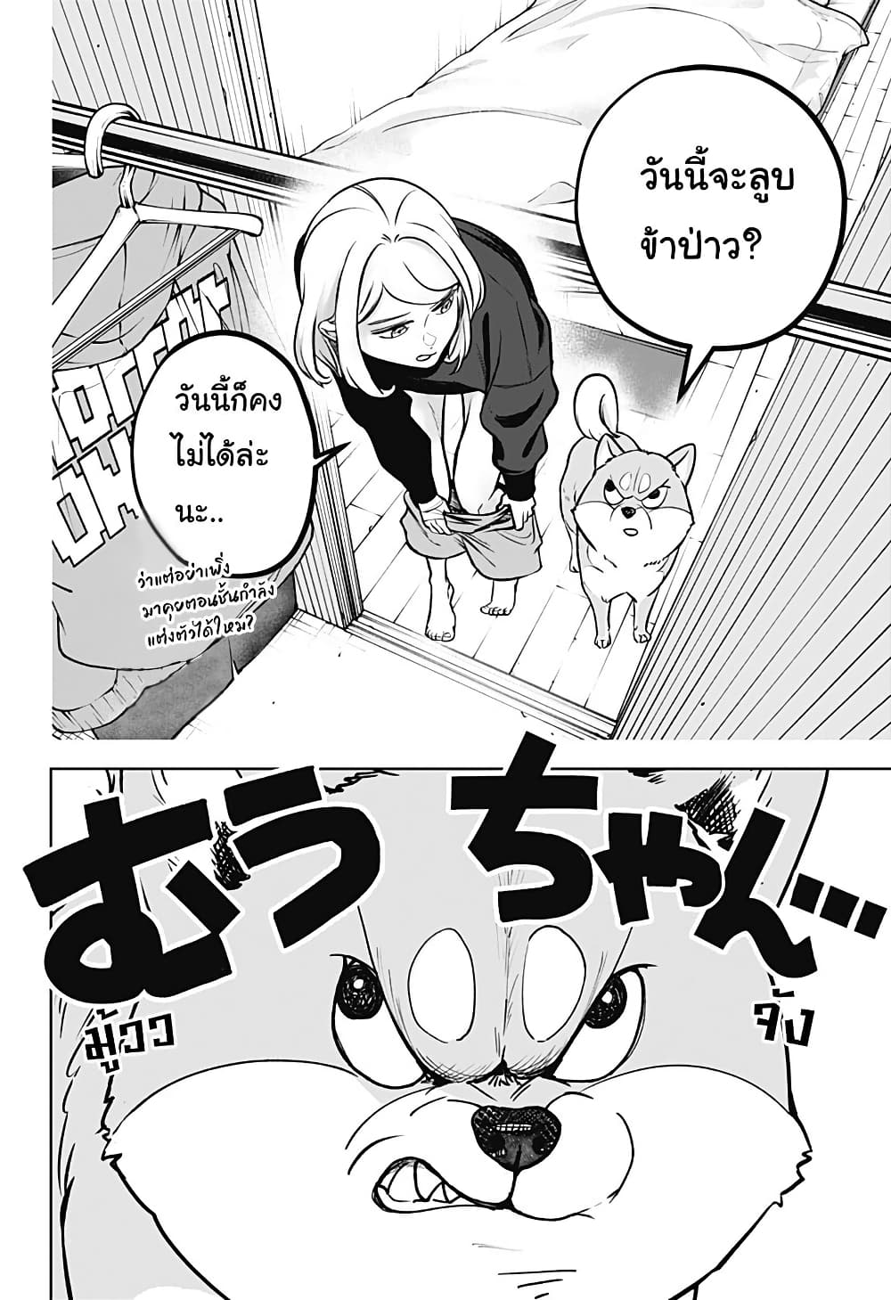 Shiba Inu Rooms page 6