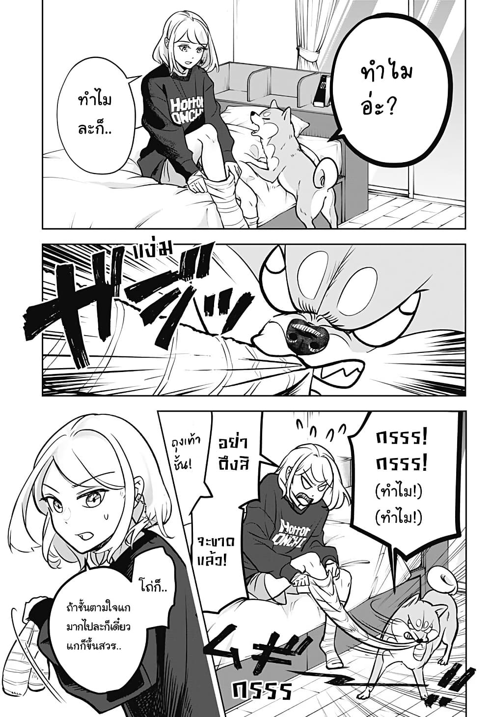 Shiba Inu Rooms page 7