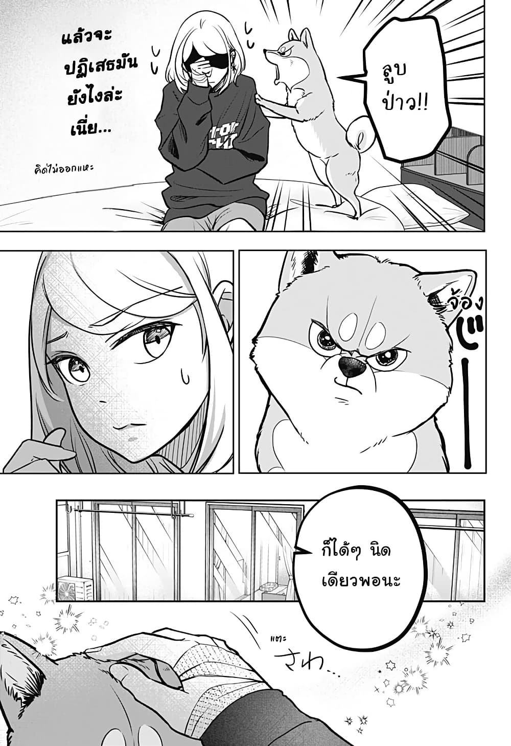 Shiba Inu Rooms page 9