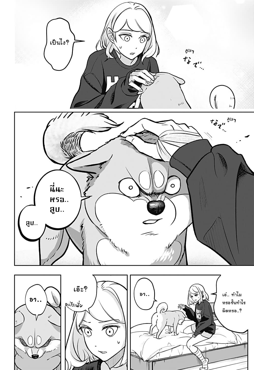 Shiba Inu Rooms page 10