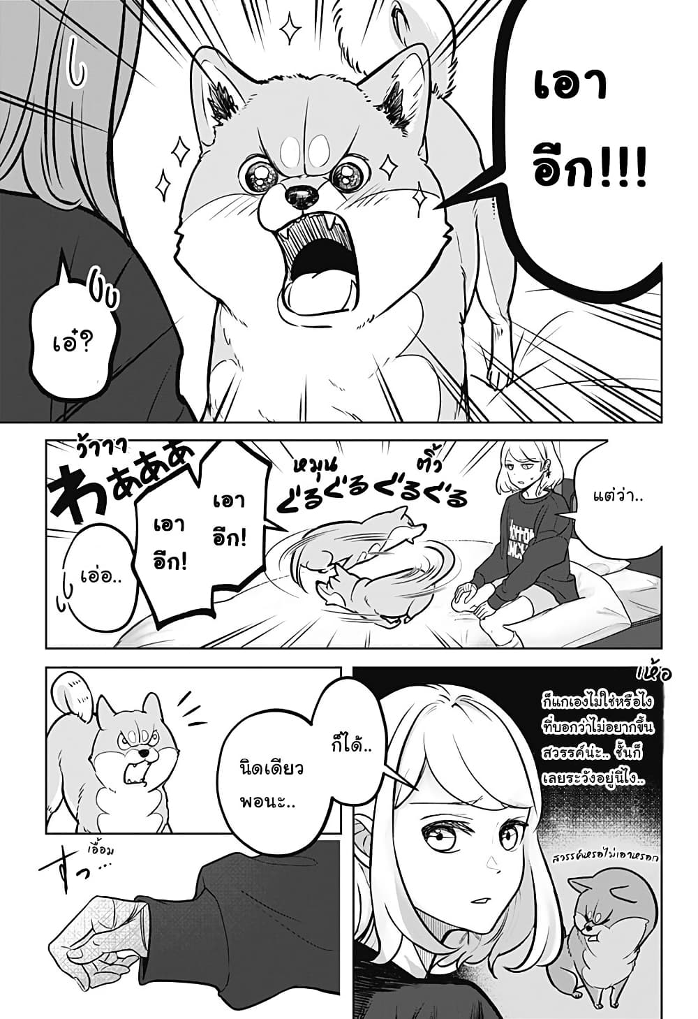 Shiba Inu Rooms page 11