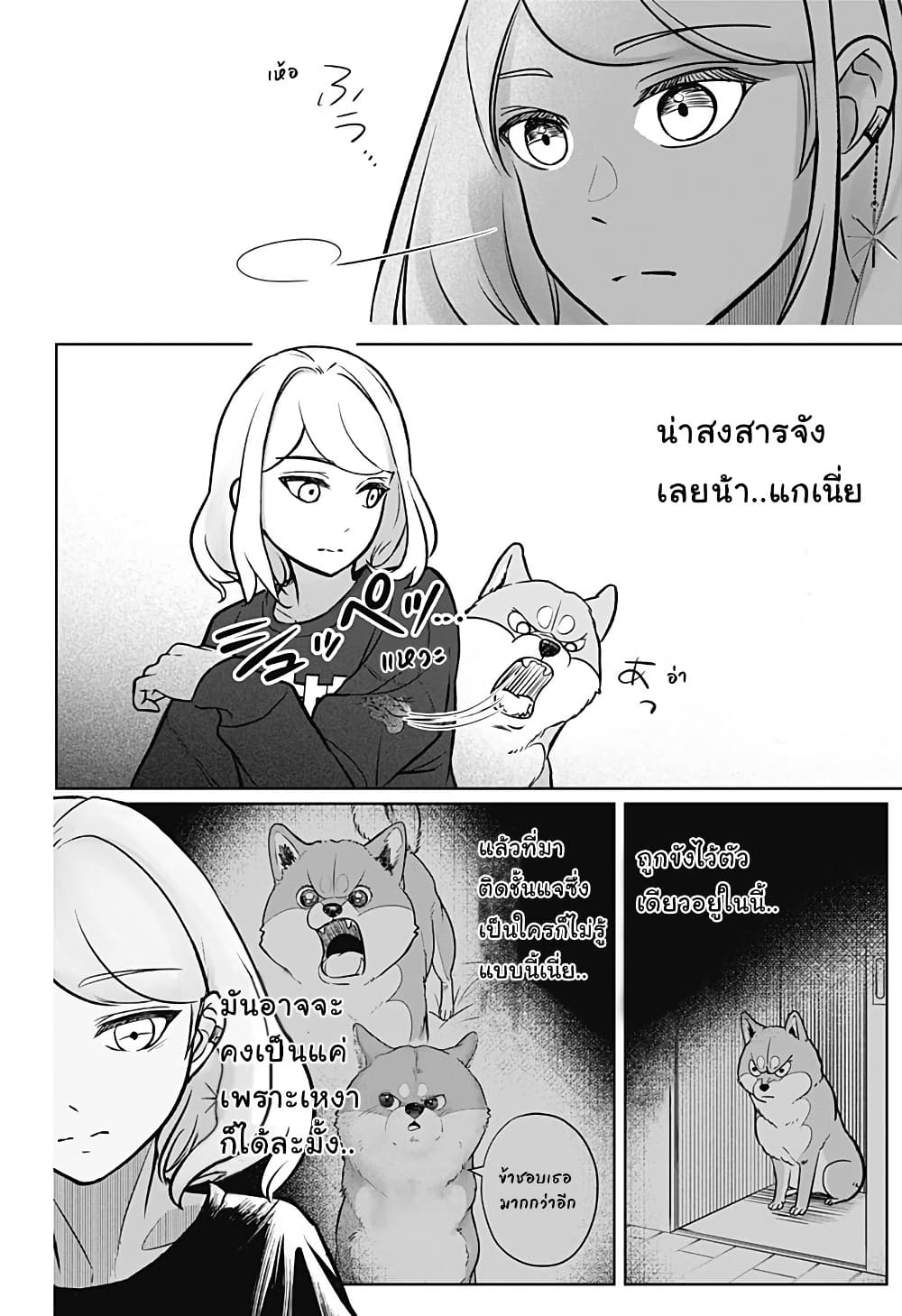 Shiba Inu Rooms page 14
