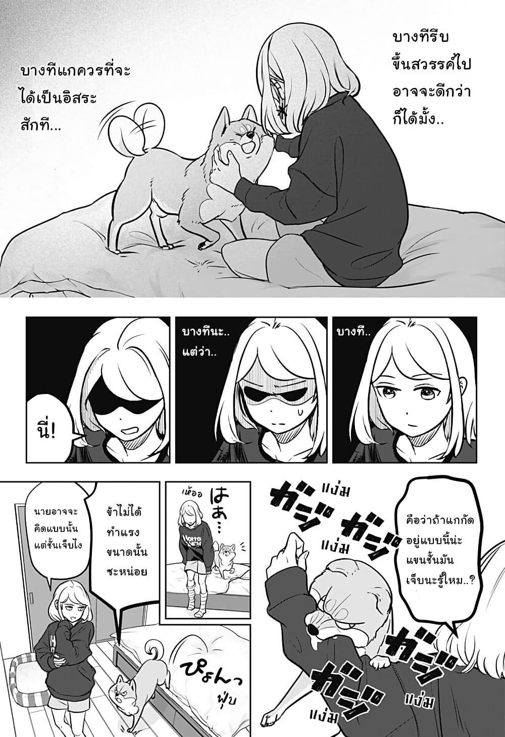 Shiba Inu Rooms page 15