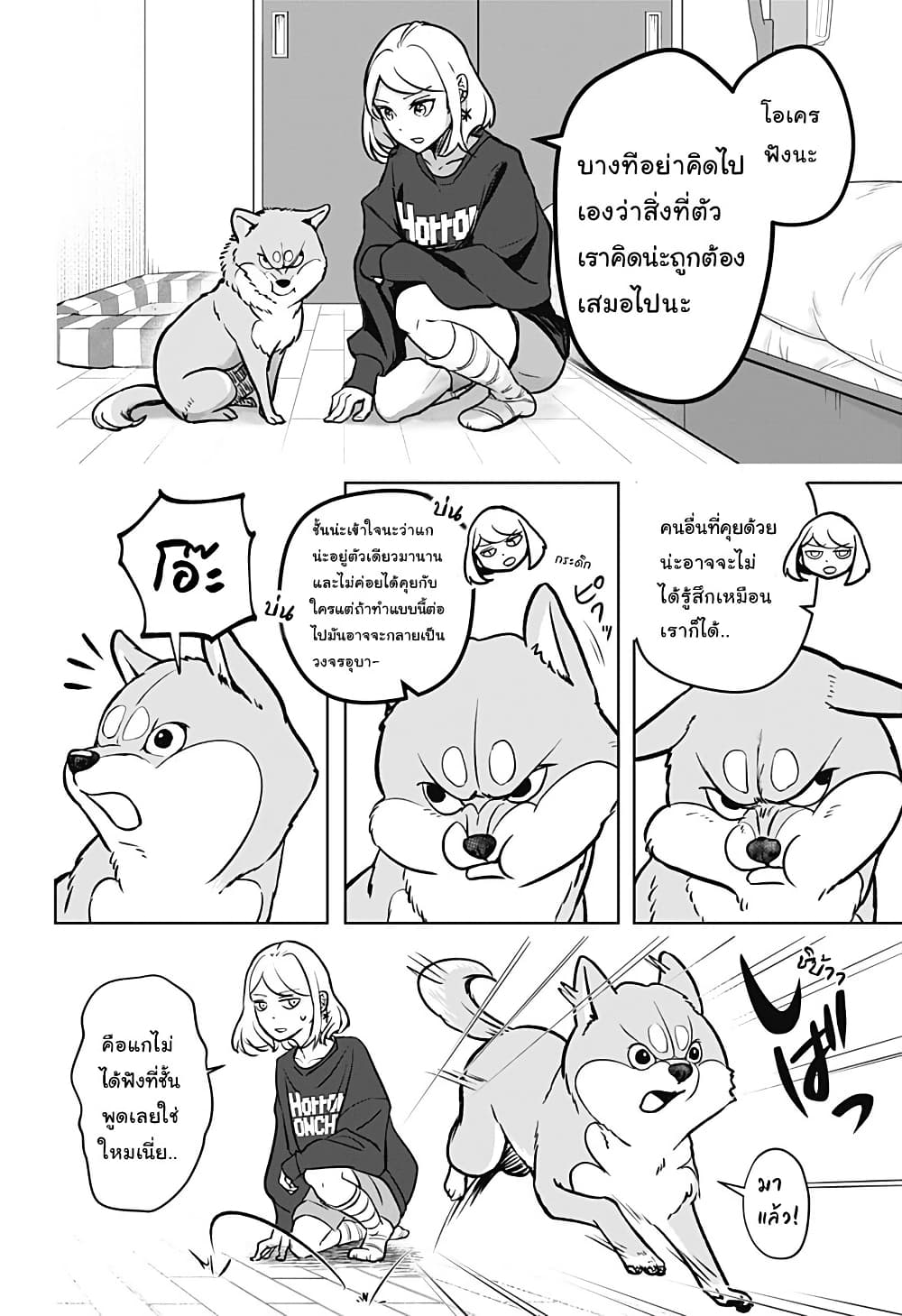 Shiba Inu Rooms page 16